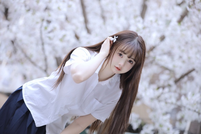 我的团长我的团 封面
